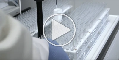 4DXW Demo in Action 4DXW Demo in Action